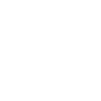 Rytis Pytis reels kurimas parasas